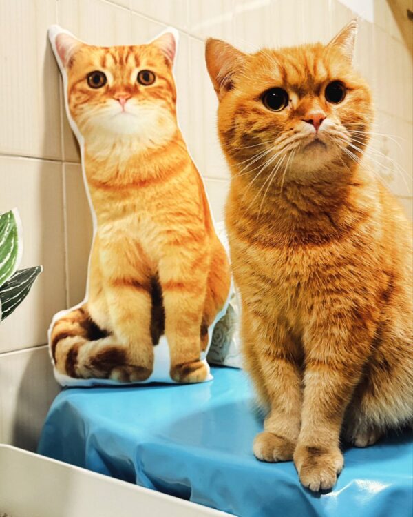 Almofada personalizada do Animal