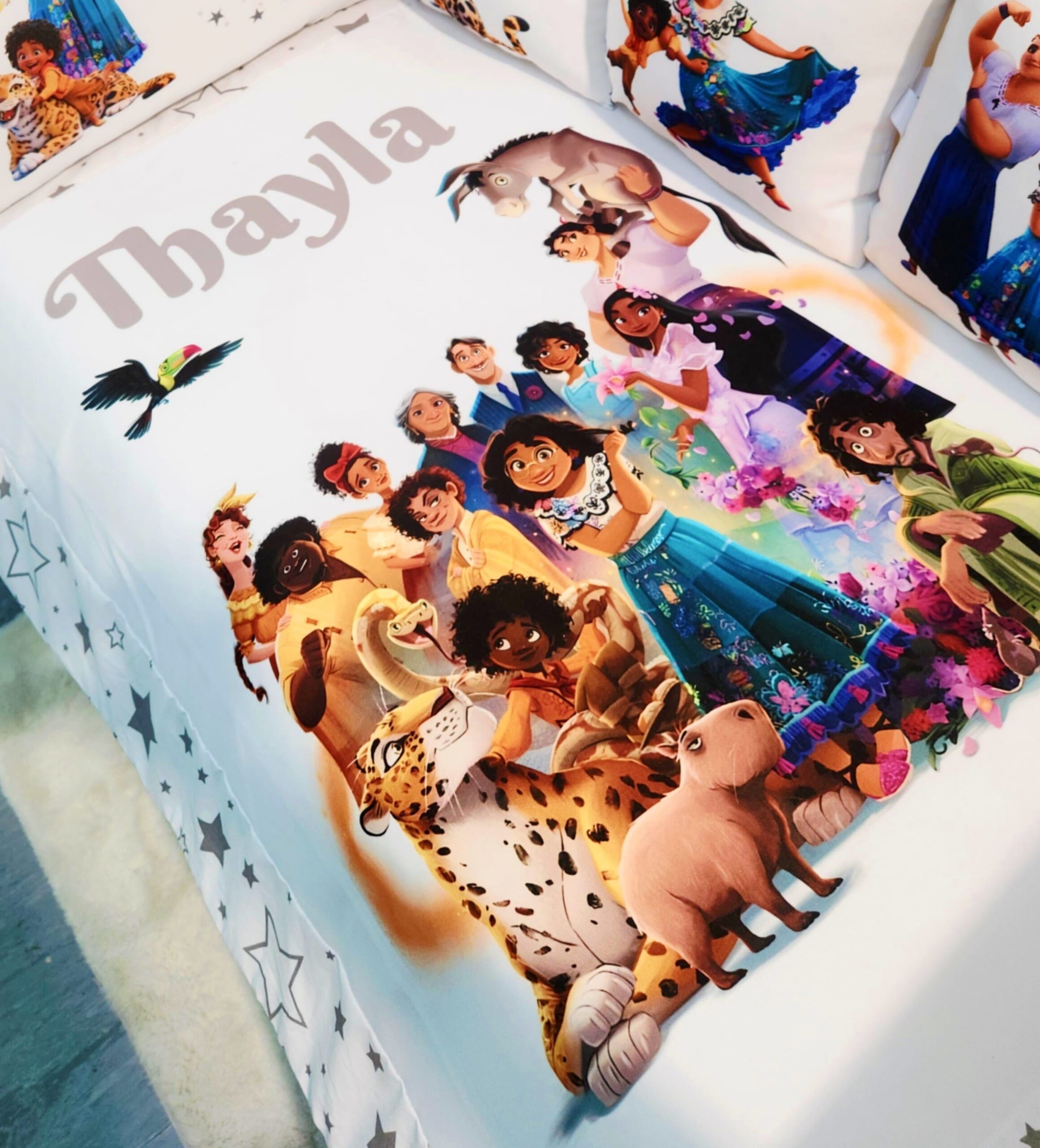 Modelo Coroa «Encanto cinzento»